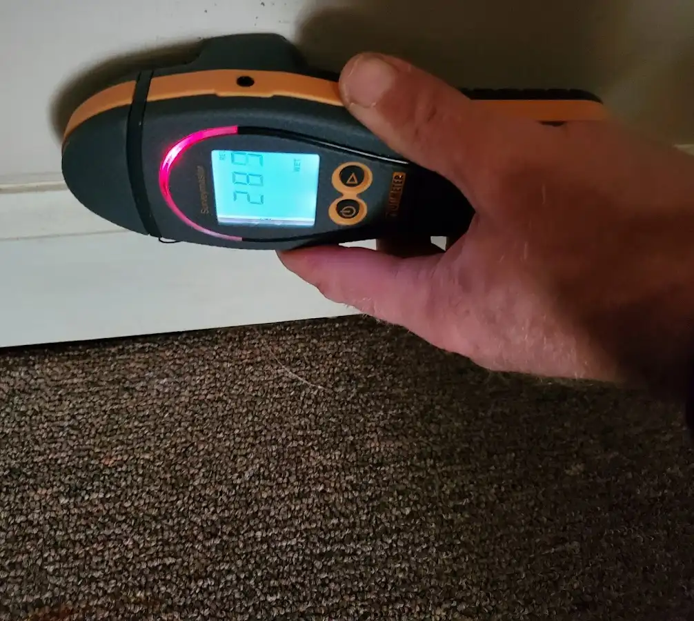 Moisture detection at baseboard during Mold Inspection & Testing in Battle Ground